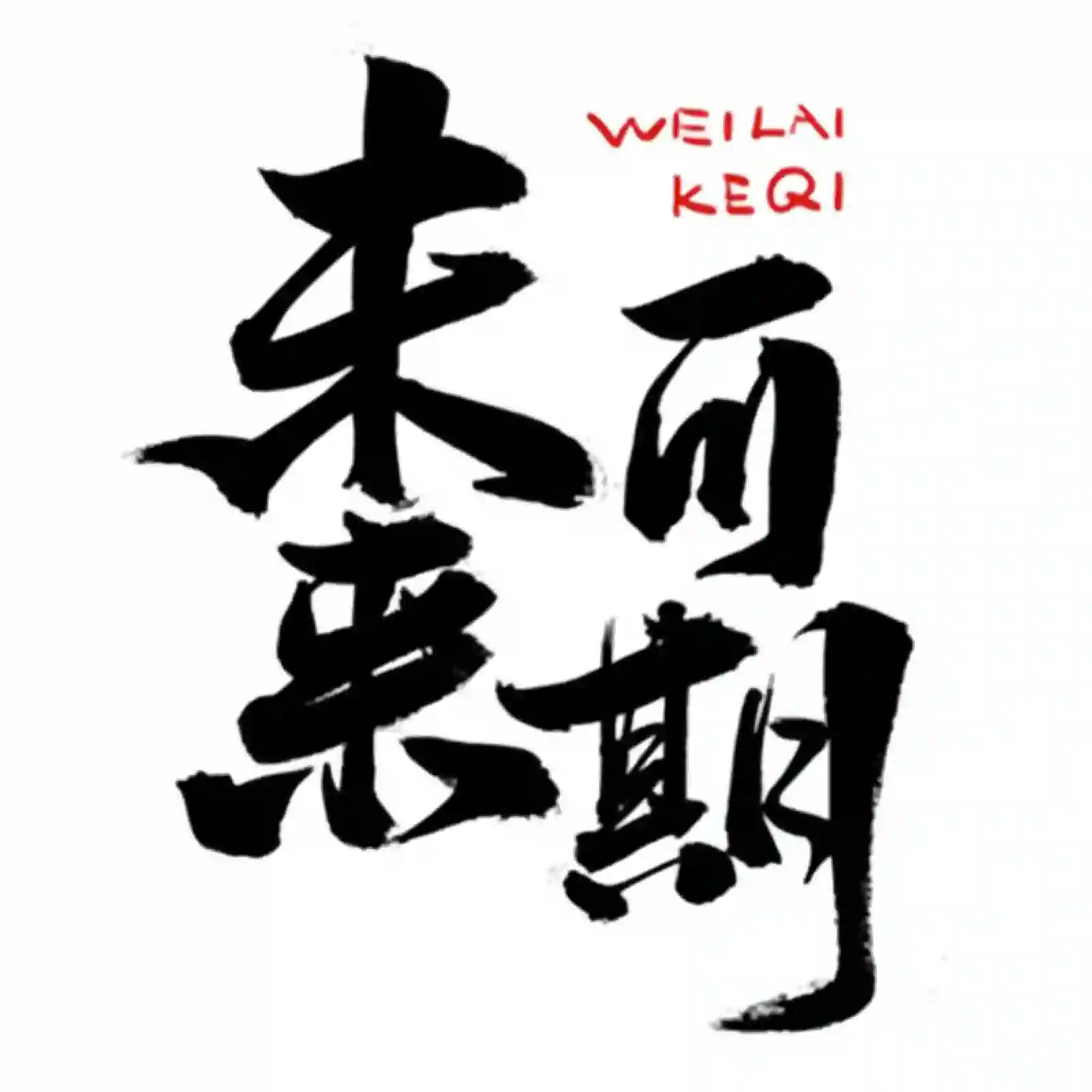 未来显示 Logo